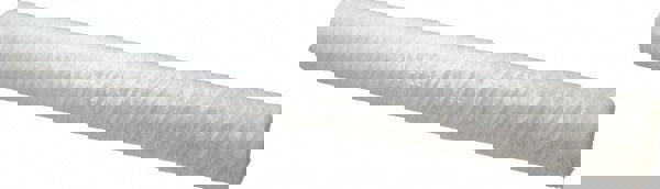 Plumbing Cartridge Filter: 2-1/2